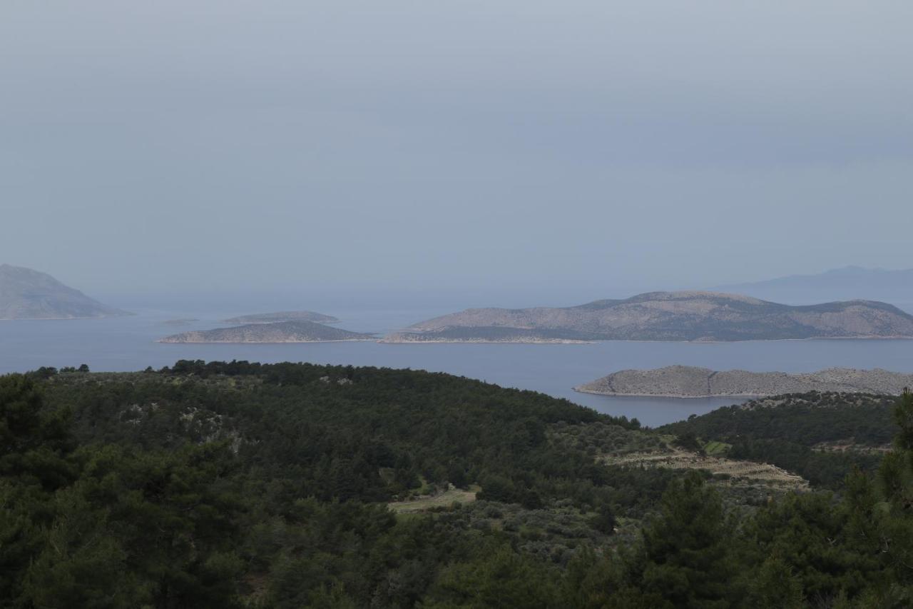 Echo Traditional House - Ηχώ Παραδοσιακό Σπίτι Émbonas Exteriör bild