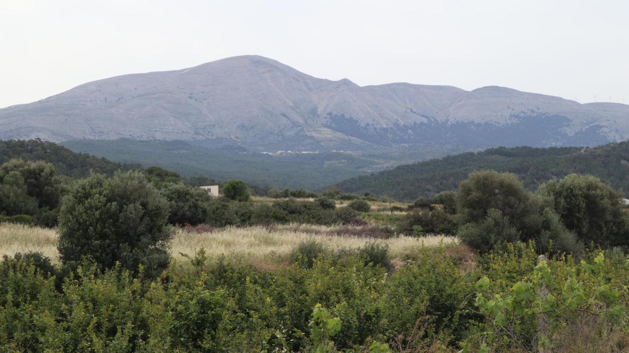Echo Traditional House - Ηχώ Παραδοσιακό Σπίτι Émbonas Exteriör bild