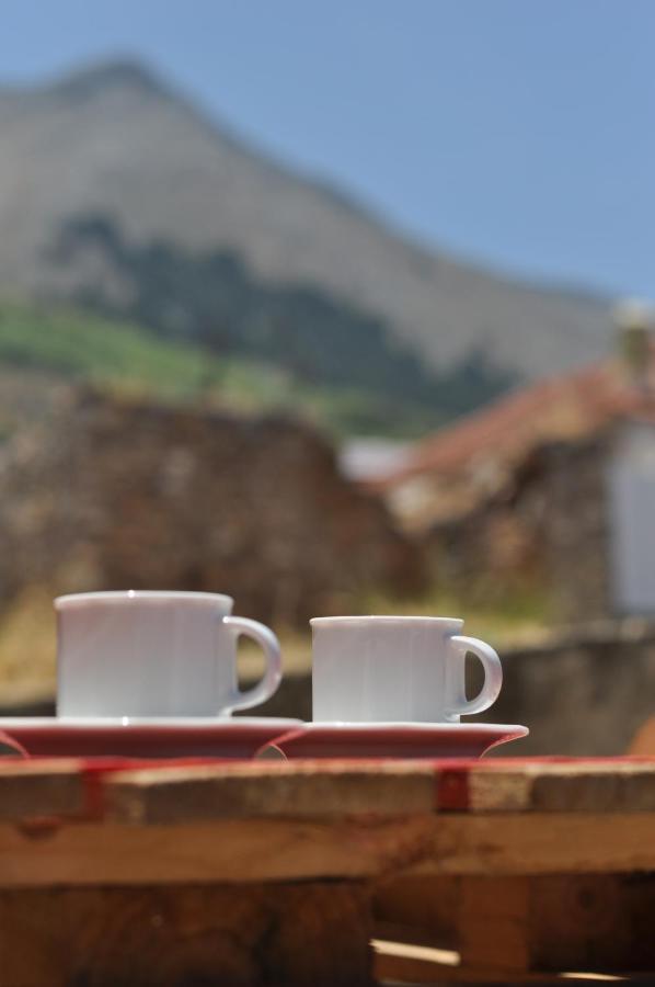 Echo Traditional House - Ηχώ Παραδοσιακό Σπίτι Émbonas Exteriör bild